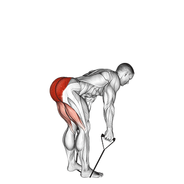 Band straight back stiff leg deadlift