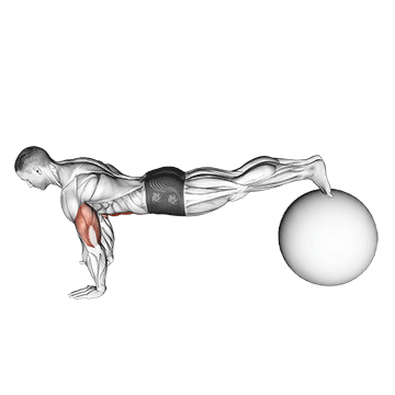 Exercise Ball Pike Push up