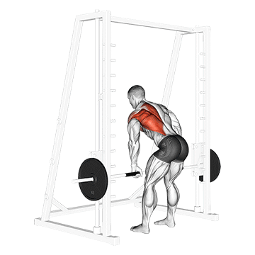 Smith One Arm Row