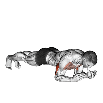 Body-Up