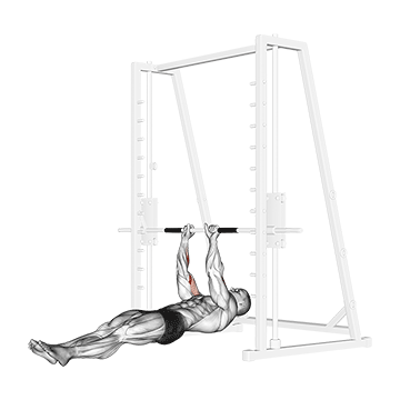 Brachialis Narrow Pull-ups