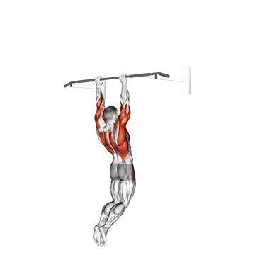 Muscle-up (on vertical bar)