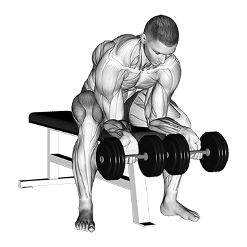 Dumbbell finger curls