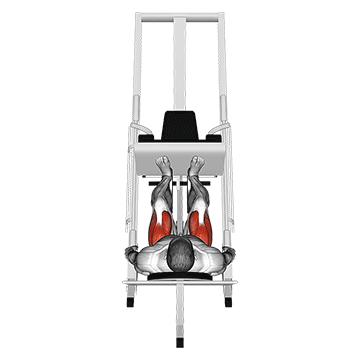 Sled 45┬░ Leg Press (Back POV)
