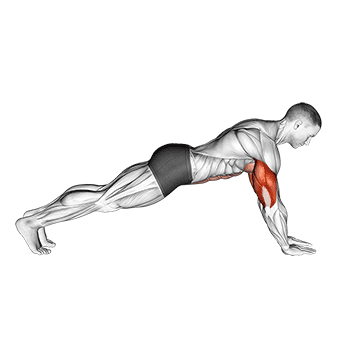 Push-up on Forearms
