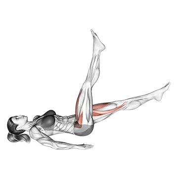 Alternate Leg Raise