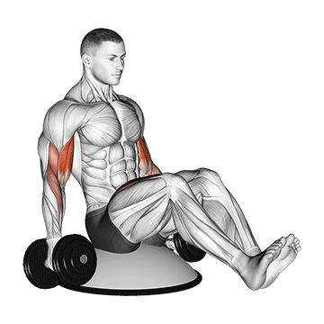 Dumbbell Biceps Curl V Sit on Bosu Ball