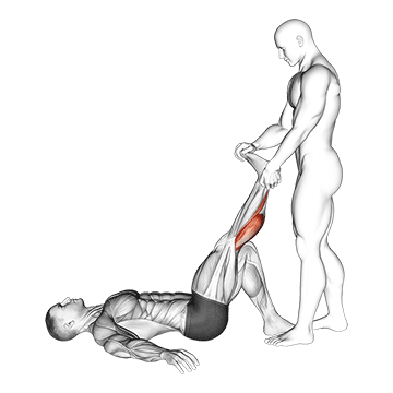 Assisted Lying Gastrocnemius Stretch