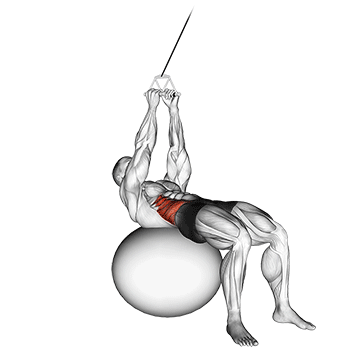 Cable Russian Twists (on stability ball)