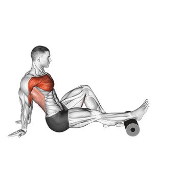 Roll Seated Single Leg Shoulder Flexor Depresor Retractor