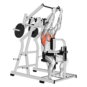 Lever Reverse grip Lateral Pulldown (plate loaded)
