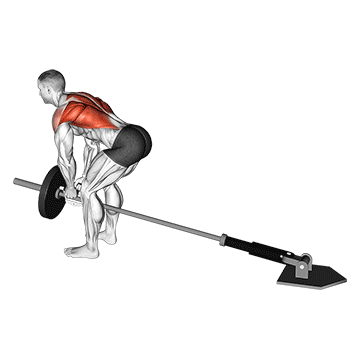 Lever Bent-over Row with V-bar (plate loaded)