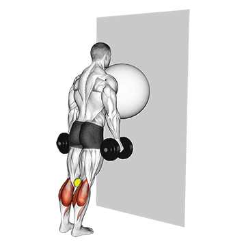 Exercise Ball on the Wall Calf Raise (tennis ball between knees)
