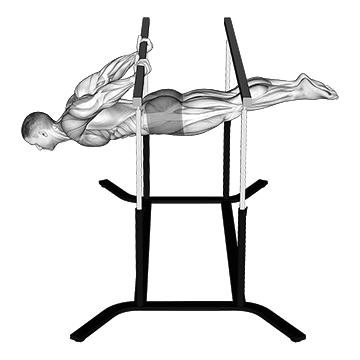 Back lever
