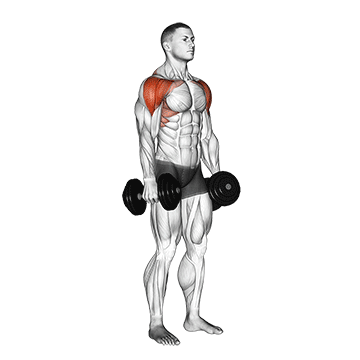 Dumbbell Lateral to Front Raise
