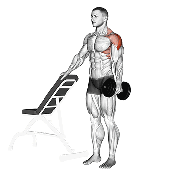 Dumbbell One Arm Lateral Raise with support