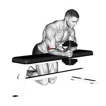 Dumbbell Over Bench One Arm  Neutral Wrist Curl