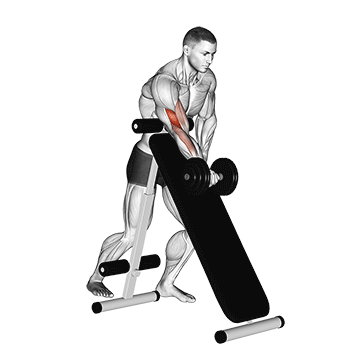 Dumbbell Standing One Arm Curl (over incline bench)