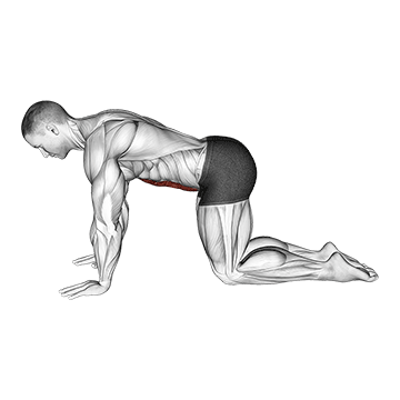 Abdominal 4 points