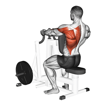Lever Alternating Narrow Grip Seated Row (plate loaded)