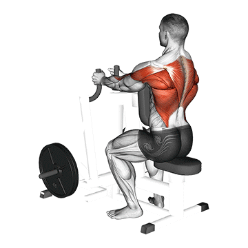 Lever Narrow Grip Seated Row (plate loaded)