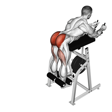 Lever Reverse Hyperextension (plate loaded)