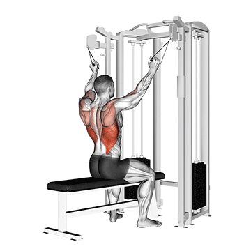 Twin handle parallel grip lat pulldown