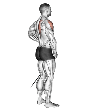 Band front lateral raise