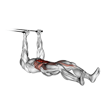 Band push sit-up